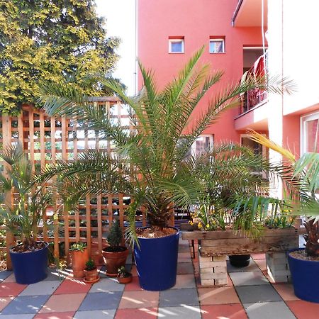 Penzion Vilka Podhajcanka Podhájska Εξωτερικό φωτογραφία